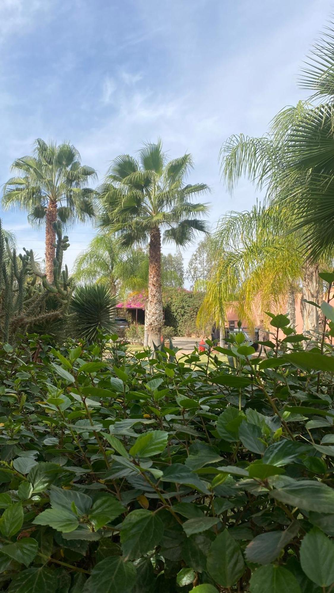 Azib Oulad Lâdem 红宝石东方旅馆酒店 外观 照片